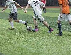 技嘉魔鹰,显示器引领,视觉革命,米乐体育平台,米乐体育官方网站,米乐体育登录入口,米乐体育app下载