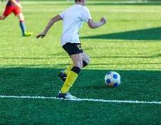 剑网,携手,黄鸡狂欢开,米乐体育平台,米乐体育官方网站,米乐体育登录入口,米乐体育app下载