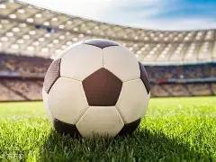 东营华泰苯,胺价格上调,重点关注,米乐体育平台,米乐体育官方网站,米乐体育登录入口,米乐体育app下载