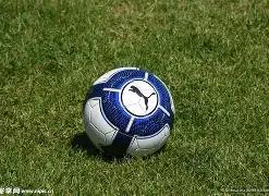 泰州劲旅,赛季苏超新,军集结完毕,米乐体育平台,米乐体育官方网站,米乐体育登录入口,米乐体育app下载