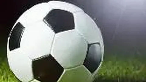 米乐体育 产品 110157 xz2