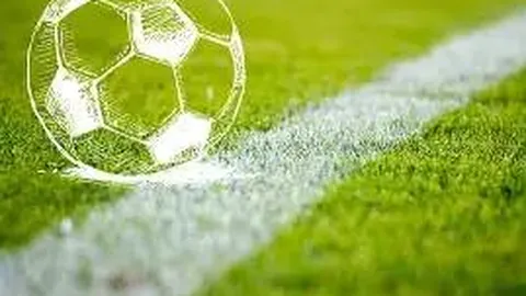 米乐体育 资讯 121147 7sp