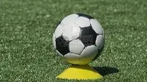 米乐体育 产品 093517 hs1