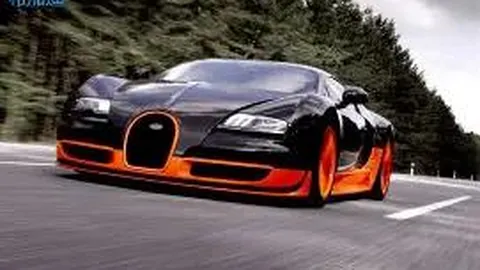 东莞篮球城：残特奥会竞技场助力残障人士，体育事业新飞跃